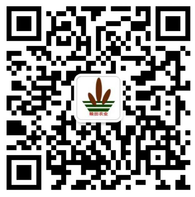 公众号二维码 公众号二维码