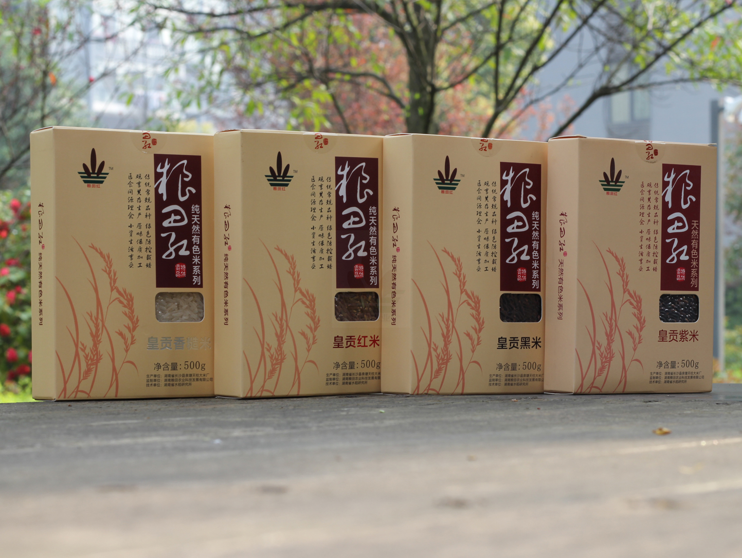 业务范围