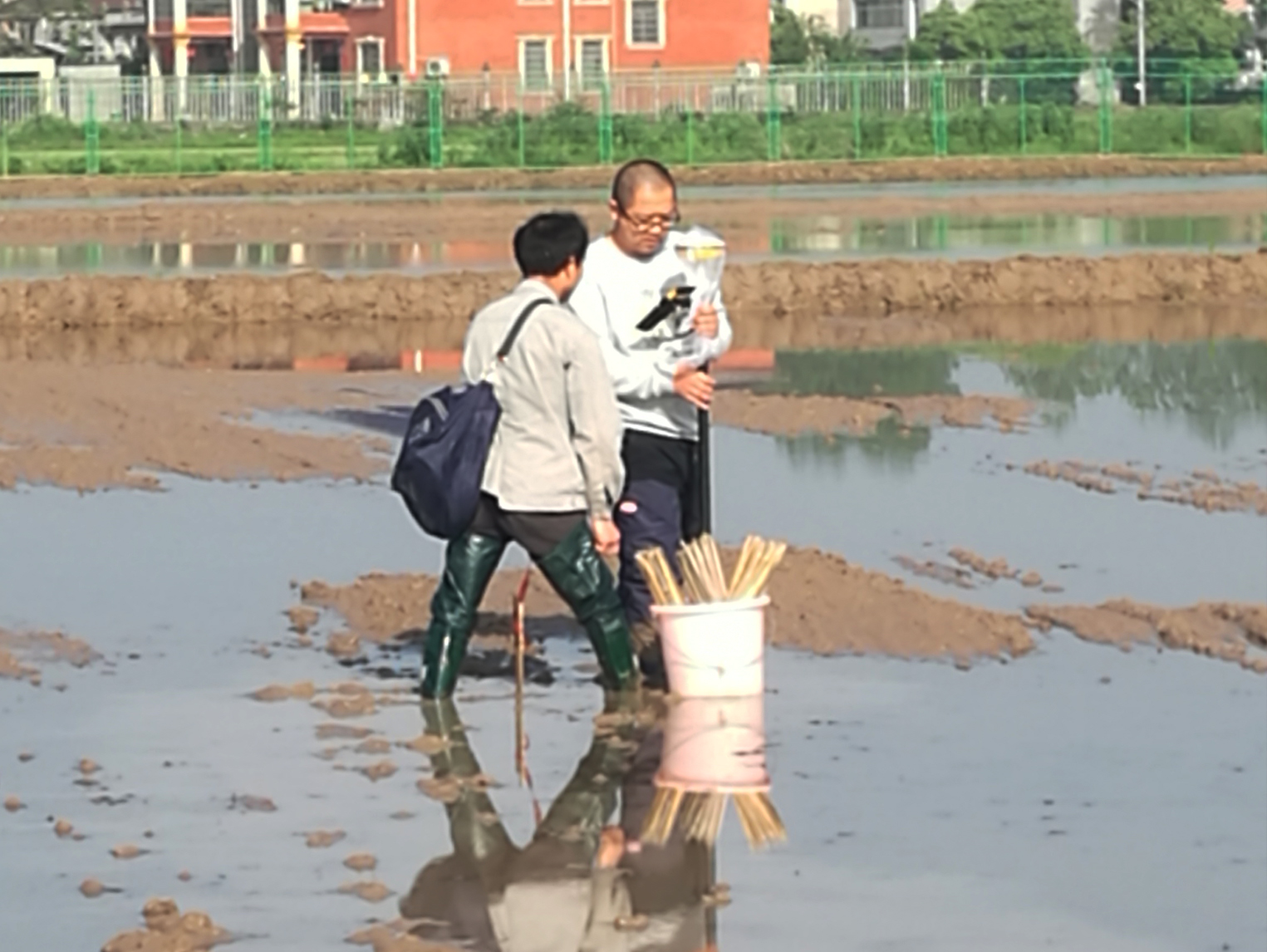 业务范围